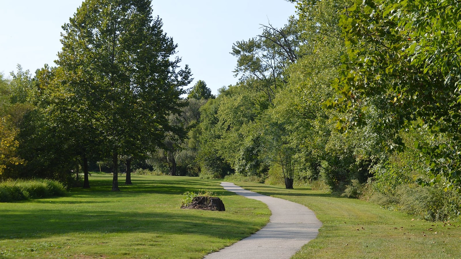 Dogwood Farm Road